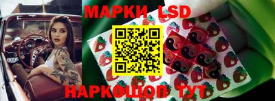 мдпв Донской