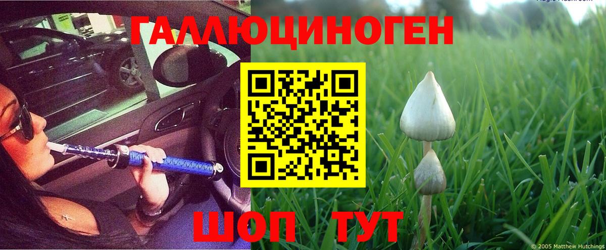 Галлюциногенные грибы Magic Shrooms Дальнегорск