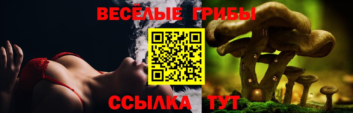 Псилоцибиновые грибы Cubensis  Вход с VPN  Псилоцибиновые грибы MAGIC MUSHROOMS  Дальнегорск 