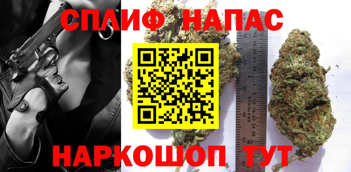 Каннабис индика Дальнегорск